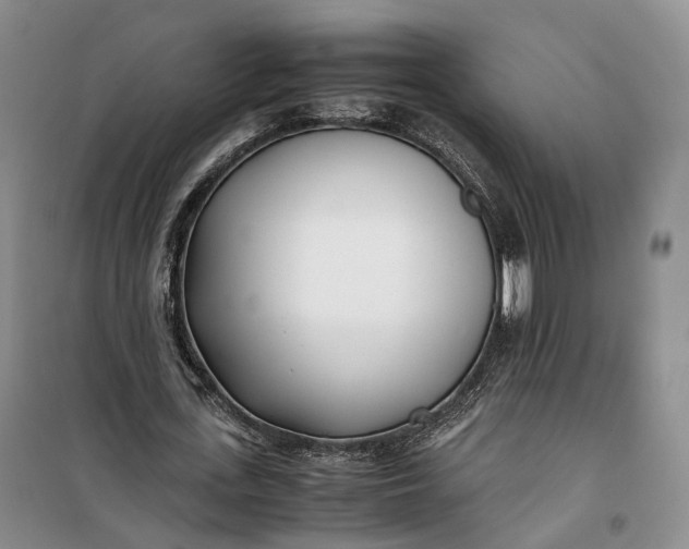 X0000100230723200806131335