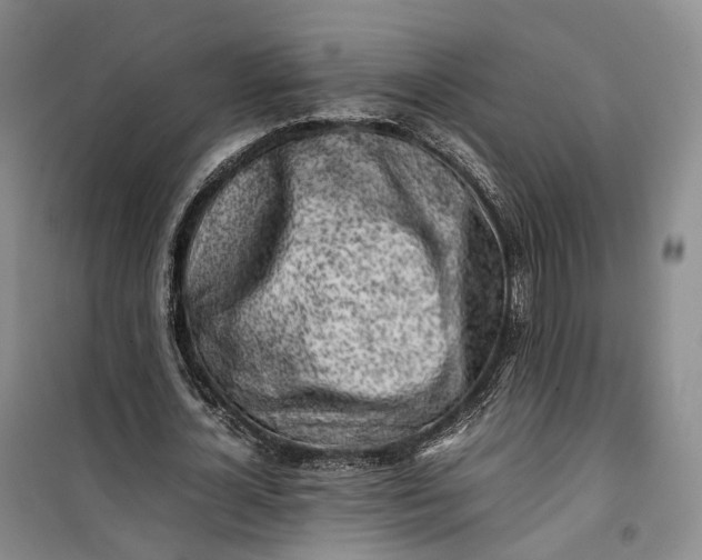 X0000100230724200806131335