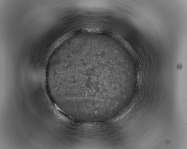 X0000100230725200806131335