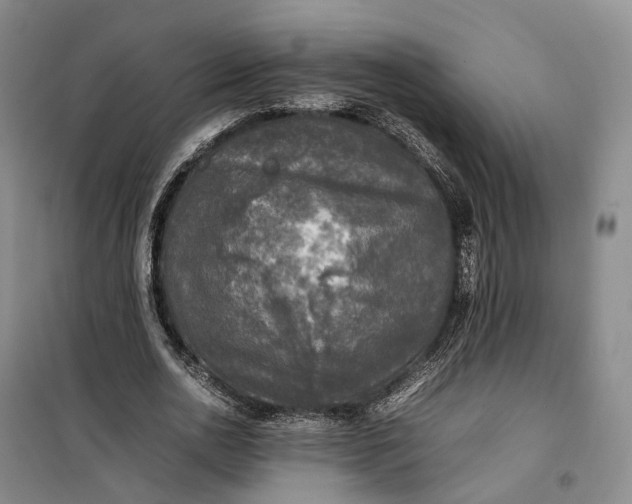 X0000100230726200806131335