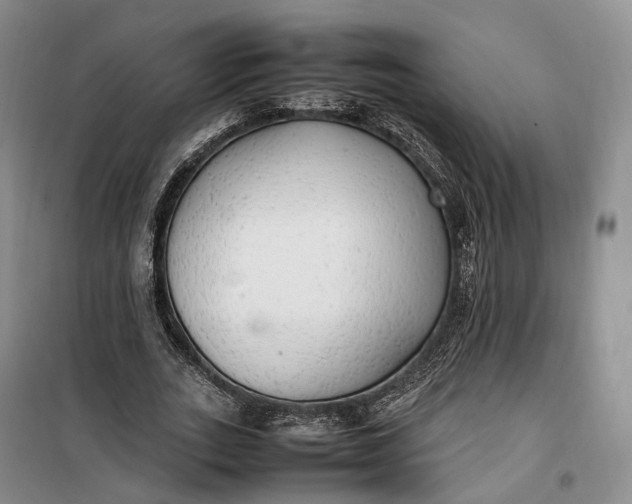 X0000100230727200806131335