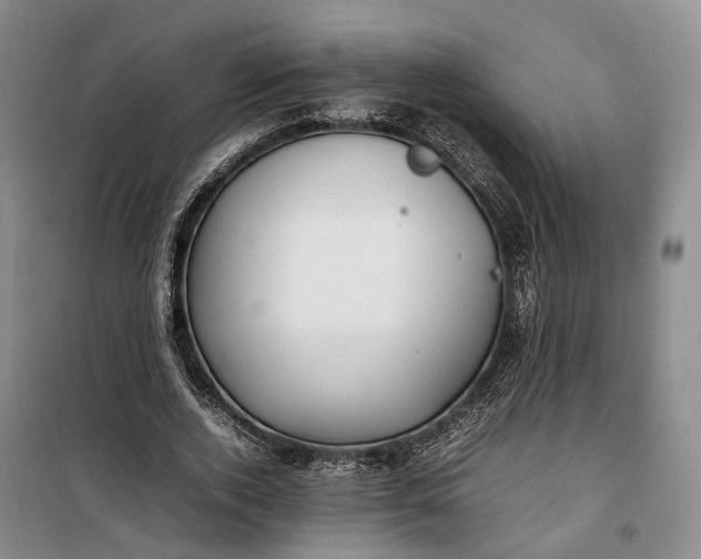 X0000100230728200806131335