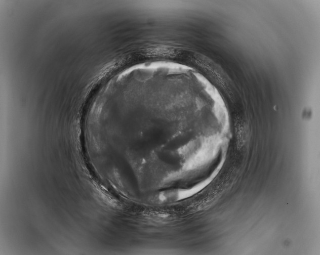 X0000100230729200806131335