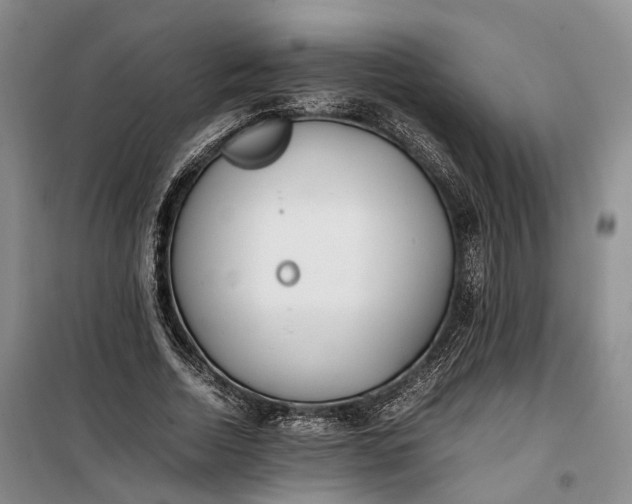 X0000100230730200806131335