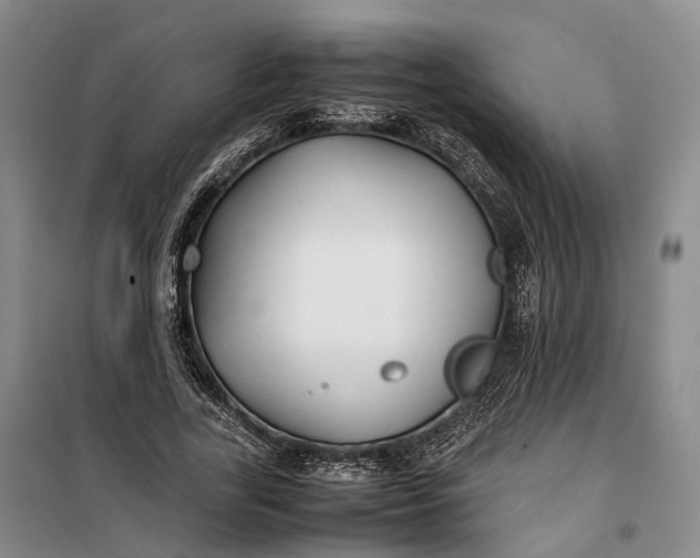 X0000100230731200806131335