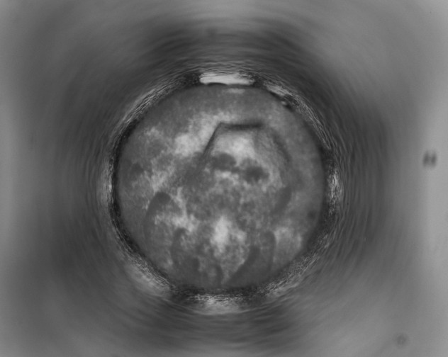 X0000100230733200806131335