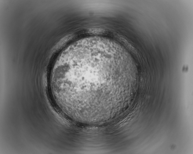 X0000100230734200806131335