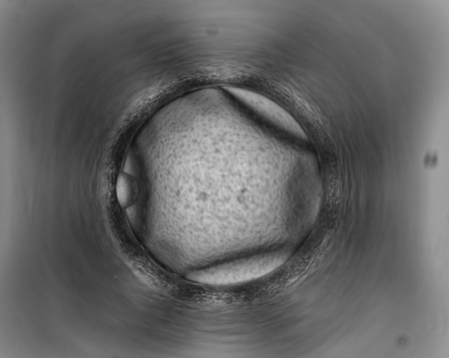 X0000100230736200806131335