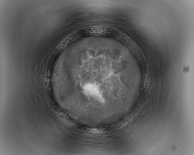 X0000100230737200806131335