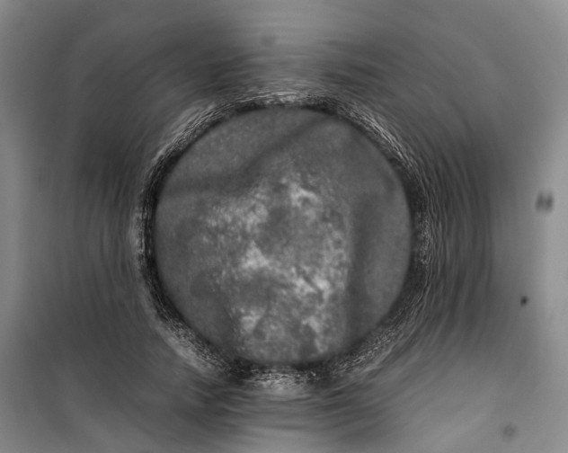 X0000100230738200806131335