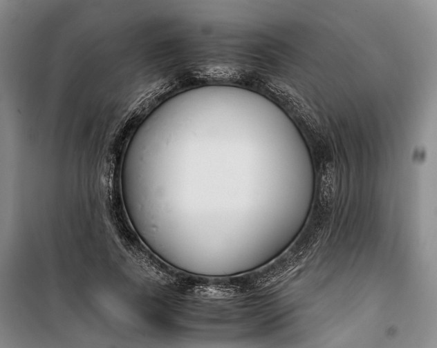 X0000100230739200806131335