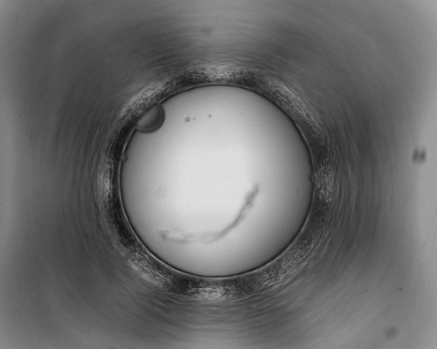 X0000100230740200806131335