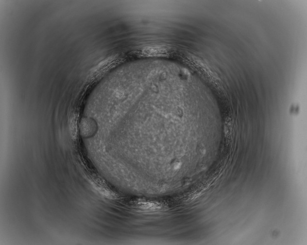 X0000100230741200806131336