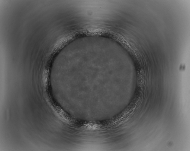 X0000100230742200806131336