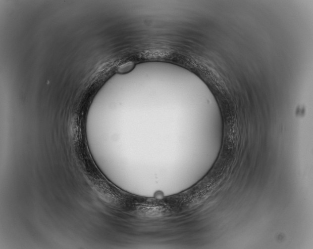 X0000100230743200806131336