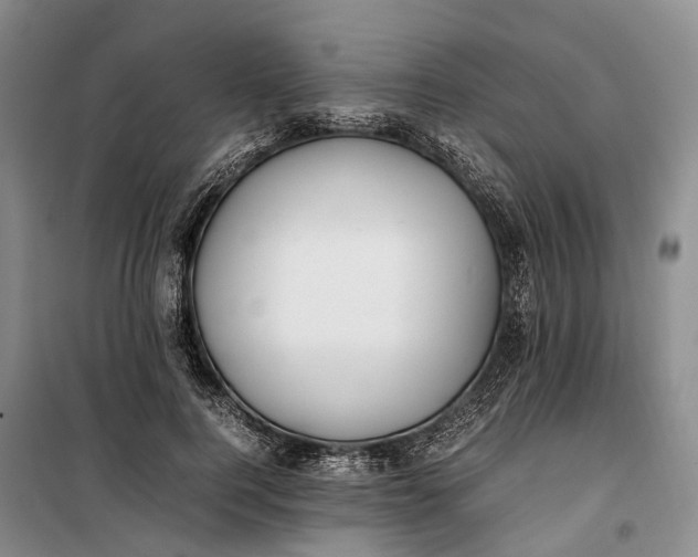 X0000100230744200806131336