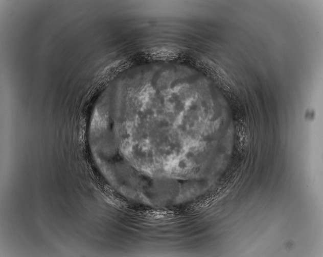 X0000100230745200806131336