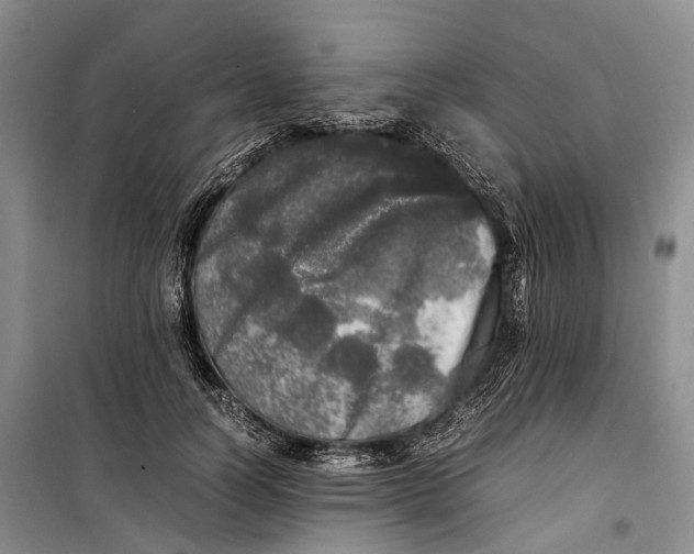 X0000100230746200806131336