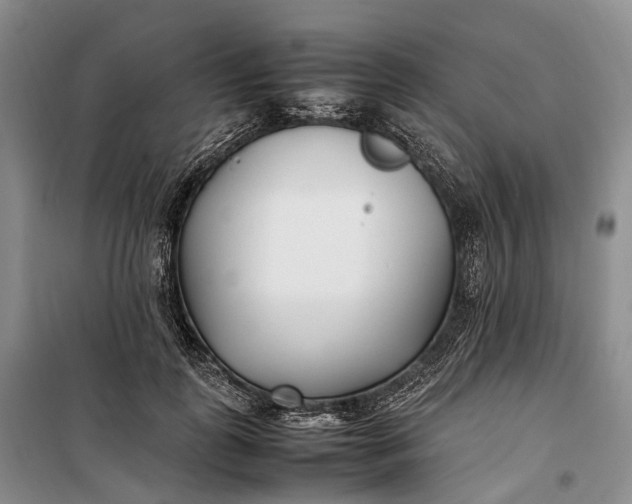 X0000100230747200806131336