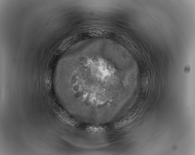 X0000100230749200806131336