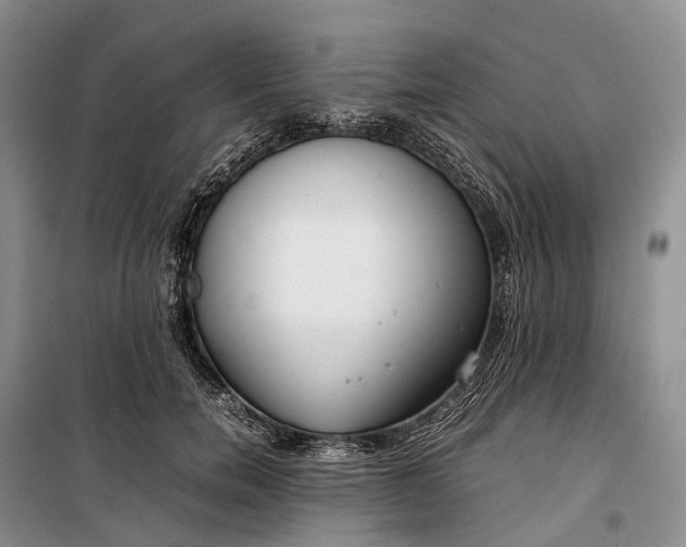 X0000100230750200806131336