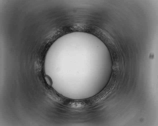 X0000100230751200806131336