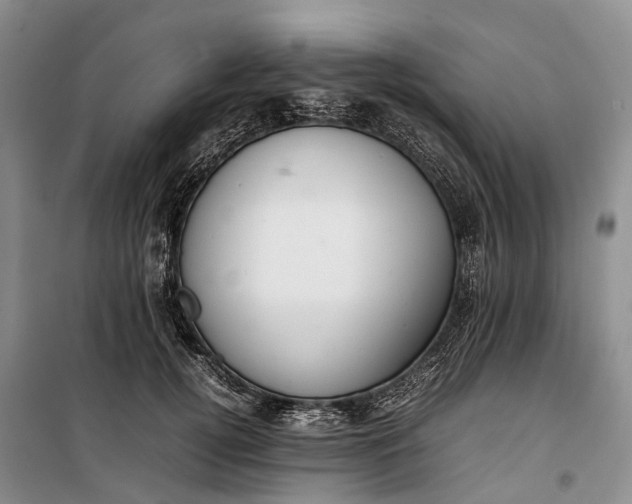 X0000100230752200806131336