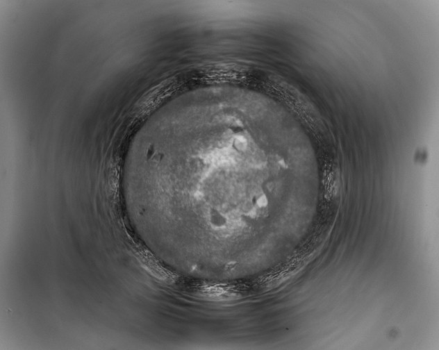 X0000100230753200806131336