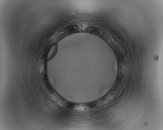 X0000100230754200806131336