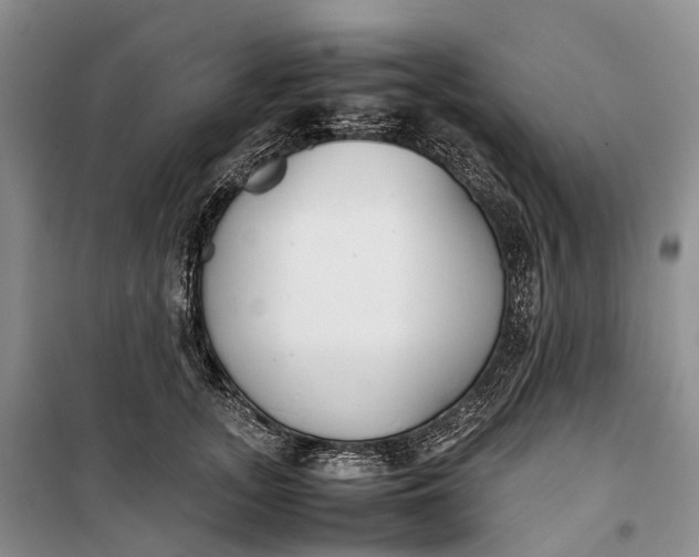 X0000100230755200806131336