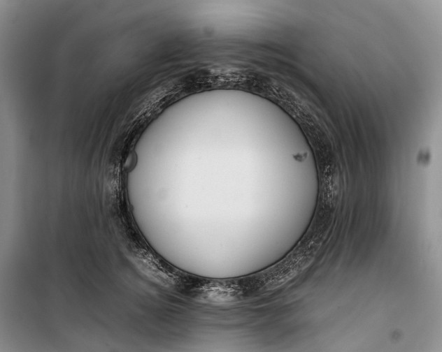 X0000100230756200806131336