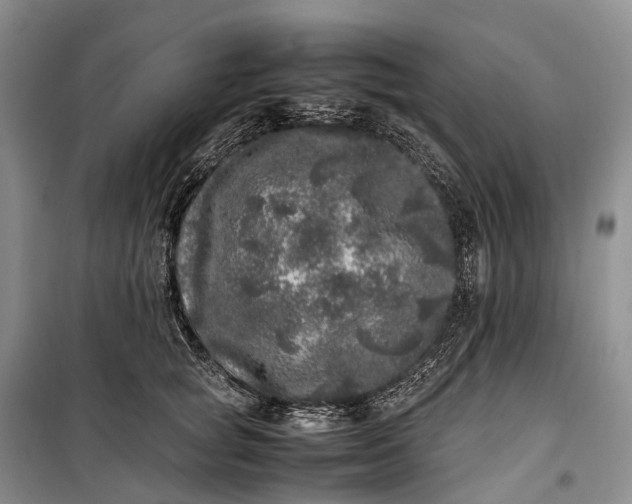 X0000100230757200806131336