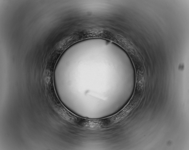 X0000100230758200806131336