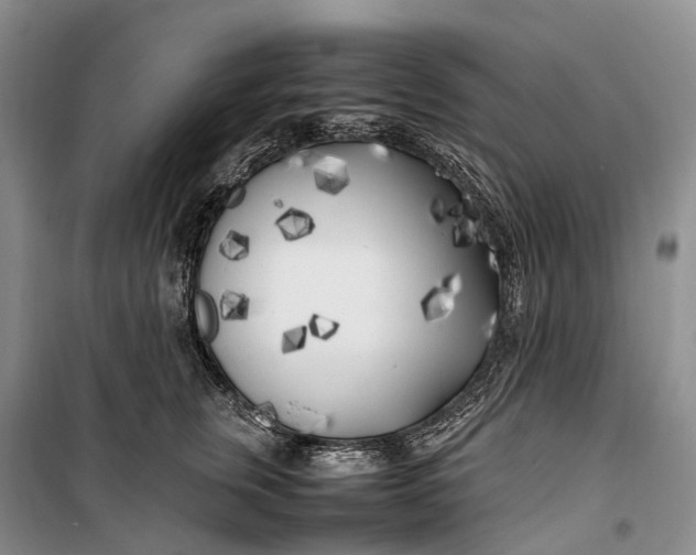 X0000100230759200806131336