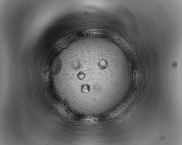 X0000100230760200806131336