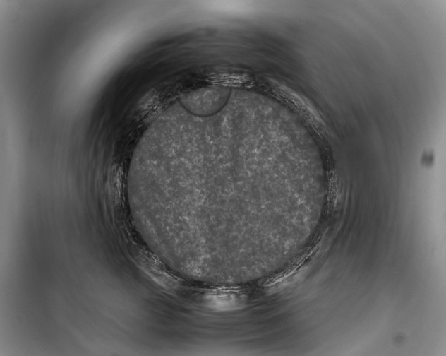 X0000100230761200806131336