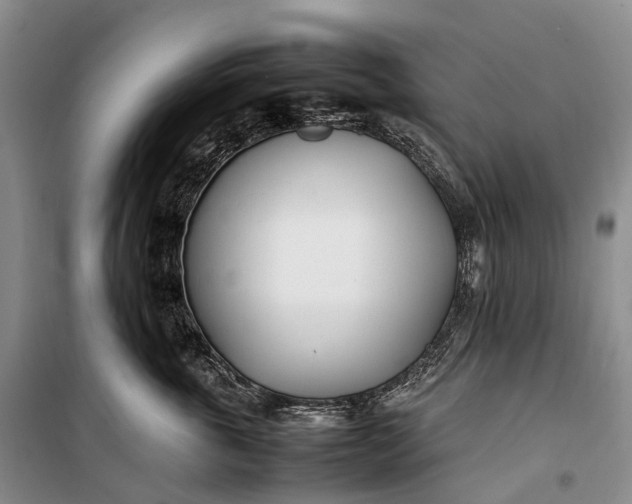 X0000100230763200806131336