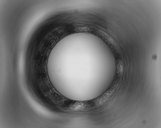 X0000100230764200806131336