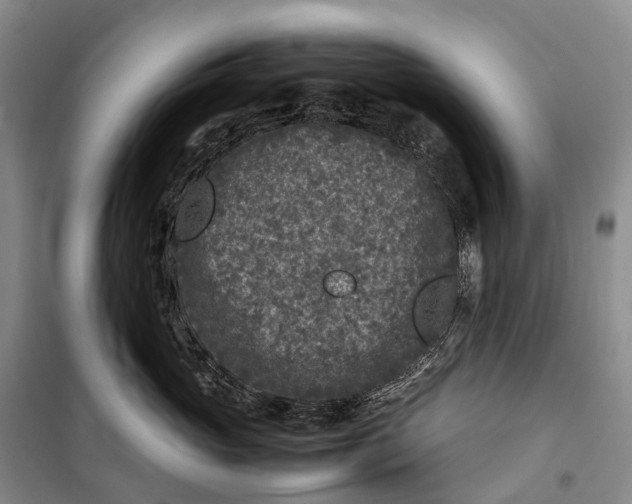 X0000100230765200806131336