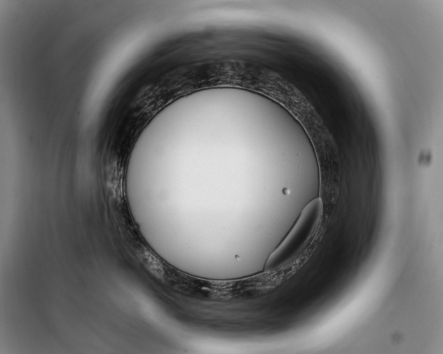 X0000100230766200806131336