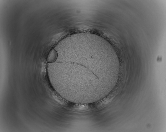 X0000100230768200806131336