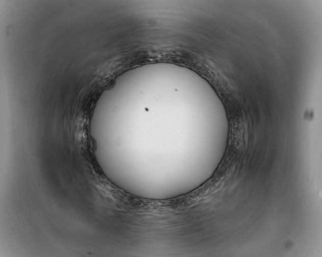 X0000100230770200806131335