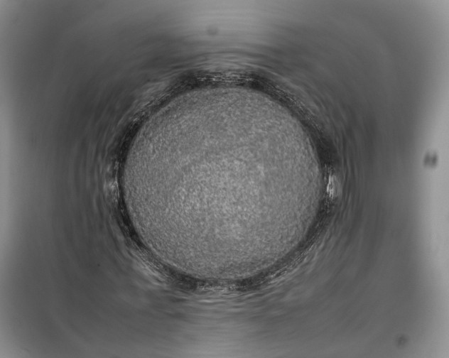 X0000100230771200806131335