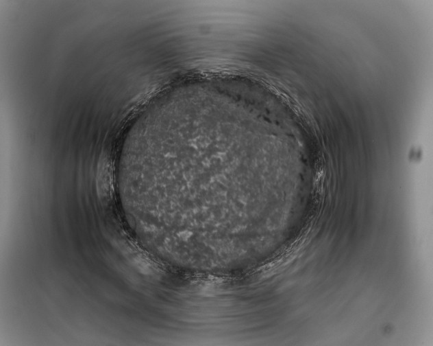 X0000100230772200806131335