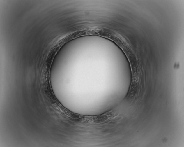 X0000100230773200806131335