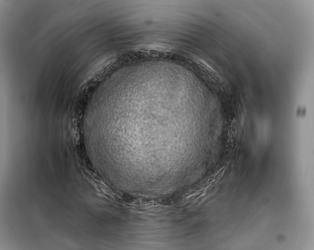 X0000100230774200806131335