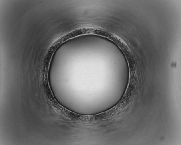 X0000100230775200806131335