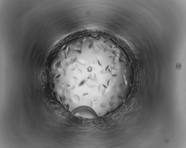 X0000100230776200806131335