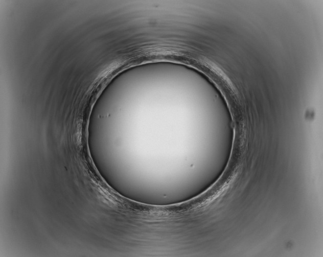 X0000100230777200806131335