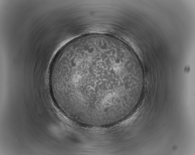 X0000100230779200806131335